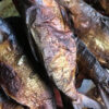 Hareng fumé/bifaka/mbounga/malolo 200g