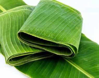Feuille de bananier (large) 1Kg