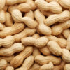 Arachides du village fraiches 1Kg